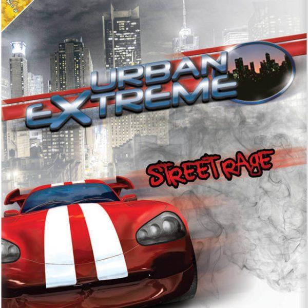 دانلود بازی Urban Extreme: Street Rage برای نینتندو WII